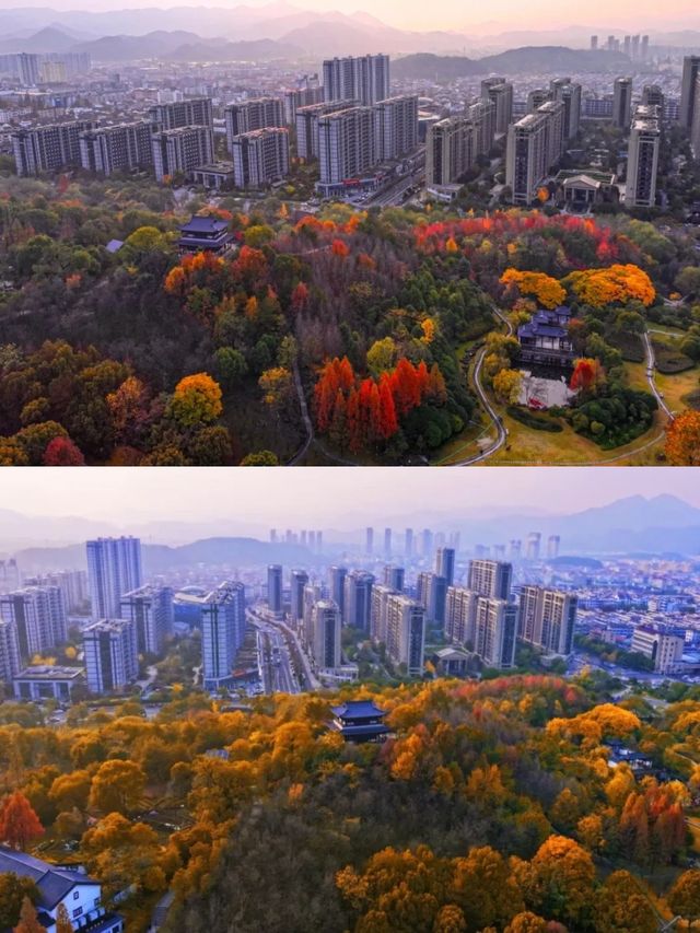 武安出差黨必睇！