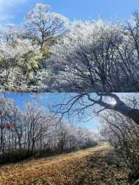 龍王山霧淞仙境冬日限定的冰雪奇緣打開方式
