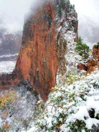 不趕路暢玩國家公園!美西定制包車路線可調