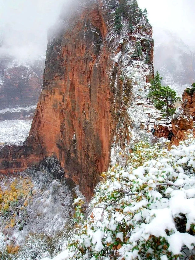 不趕路暢玩國家公園!美西定制包車路線可調 不趕路暢玩國家公園!美西定制包車路線可調