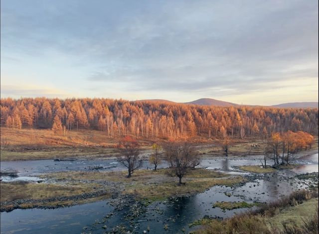 被（國家地理）評為中國5A最美秋色的阿爾山太美了