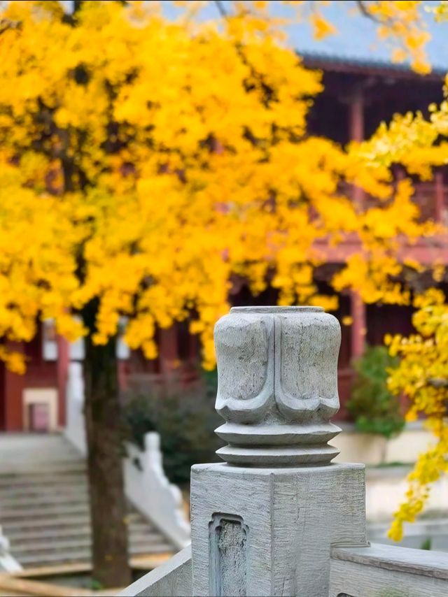 “禪境秋色” — 毗盧寺一步一景