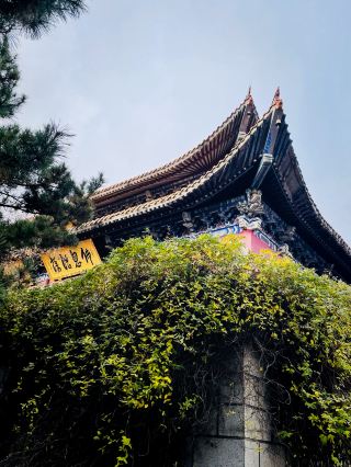 Return to Mingyue Zen Temple for a sincere vow fulfillment!