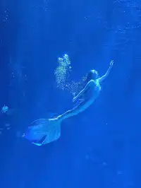 陵水親子酒店天花板現實版童話宮殿