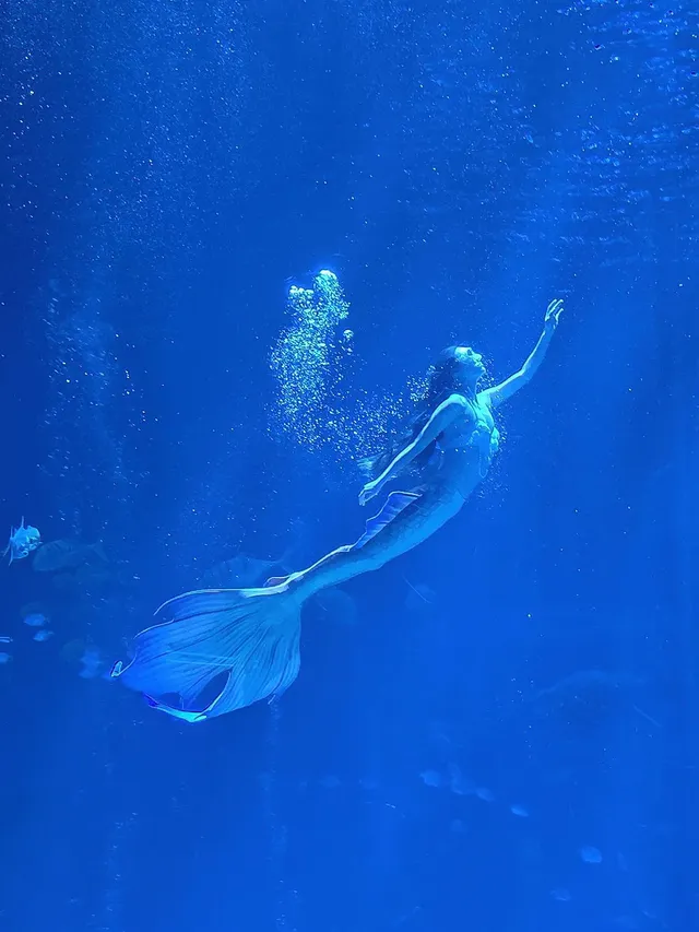 陵水親子酒店天花板現實版童話宮殿 陵水親子酒店天花板現實版童話宮殿