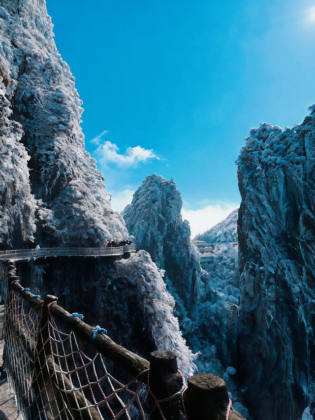 【莽山冬季仙境｜2天1夜霧淞溫泉全攻略！