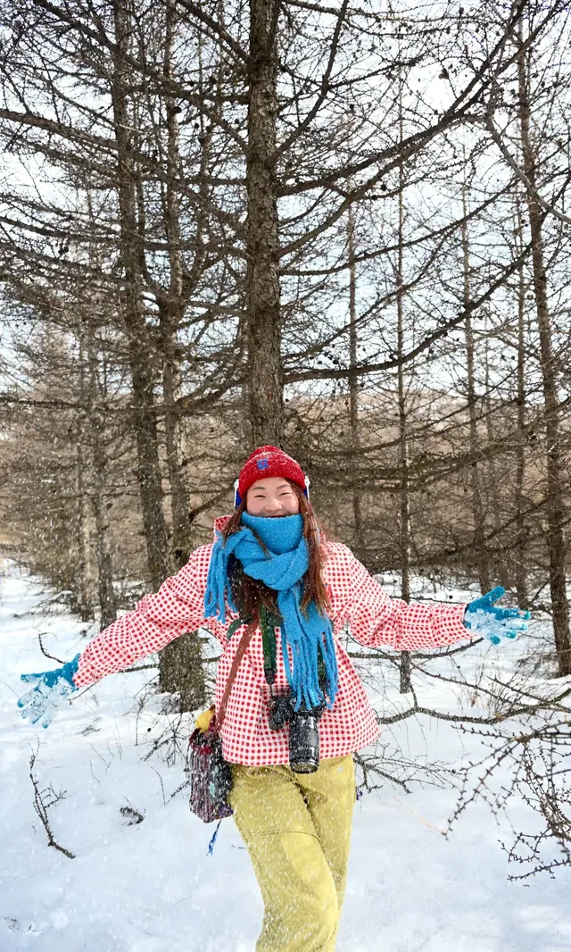 去了沒有雪松的樺皮嶺,想看你們拍的雪松 去了沒有雪松的樺皮嶺,想看你們拍的雪松