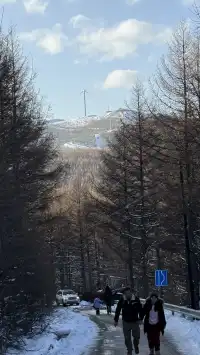 不是北歐，勝似北歐！雪後樺皮嶺