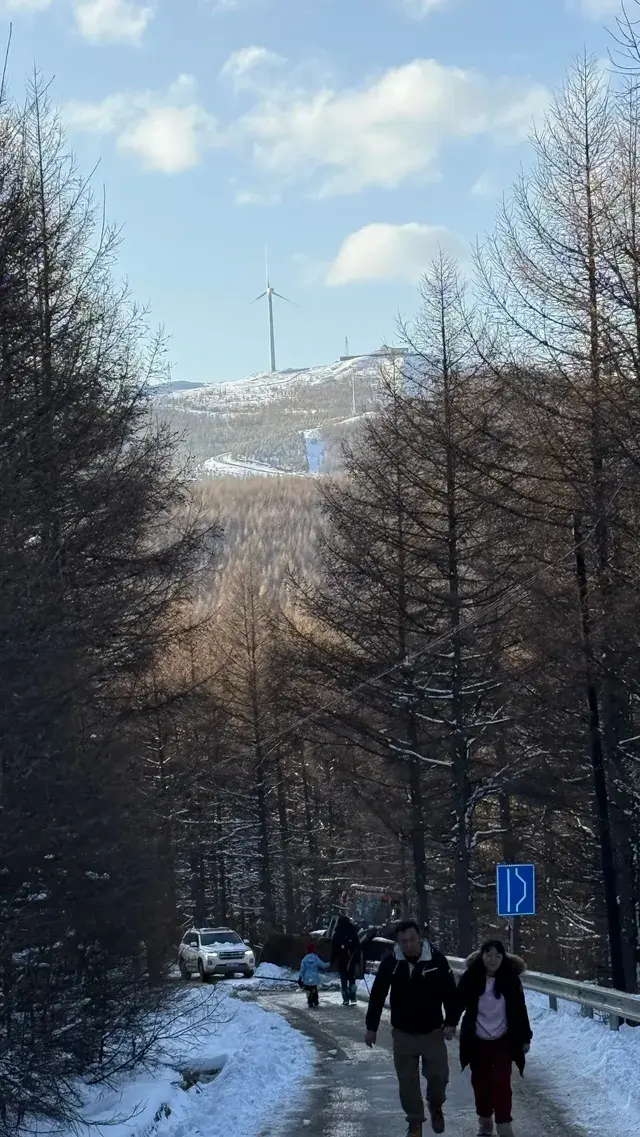 不是北歐，勝似北歐！雪後樺皮嶺