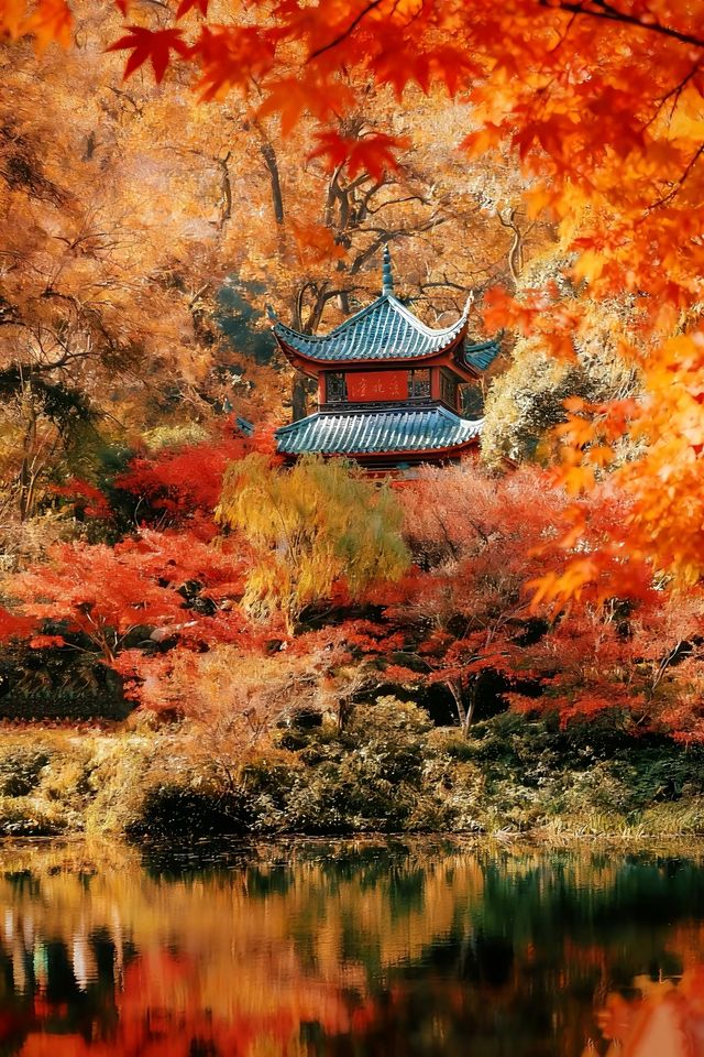 長沙賞秋絕佳地!愛晚亭楓葉簡直美到窒息 長沙賞秋絕佳地!愛晚亭楓葉簡直美到窒息