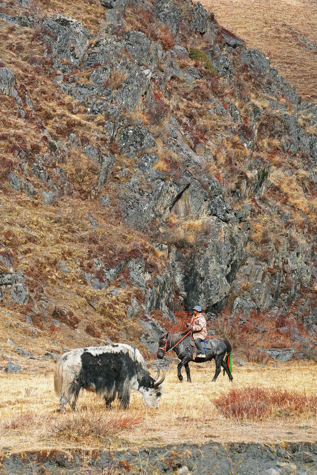 壯美雪山秘境打卡姑弄村的半日悠閒 壯美雪山秘境打卡姑弄村的半日悠閒