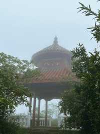 太華山秋冬奇遇：竹海仙氣與酸腿並存！