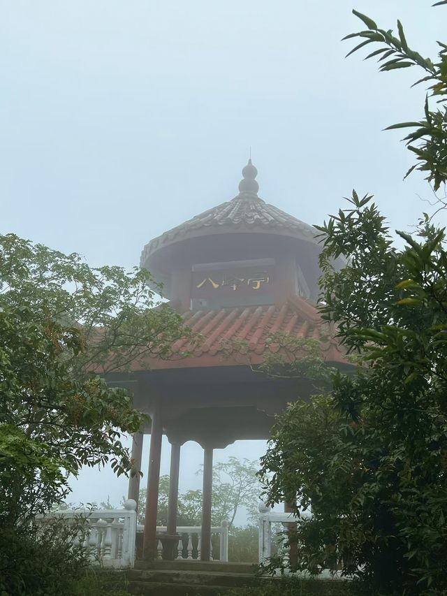 太華山秋冬奇遇：竹海仙氣與酸腿並存！