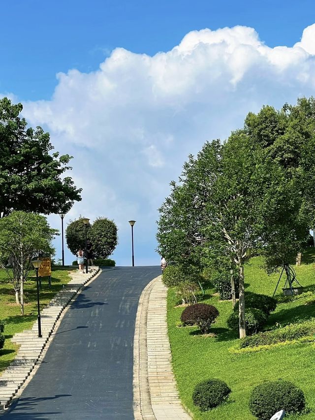 藏在市區的綠野仙蹤|東莞植物園拍照全攻略 藏在市區的綠野仙蹤|東莞植物園拍照全攻略