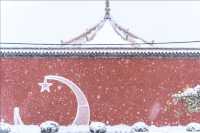 瀋陽冬日Citywalk｜住中街漫季，解鎖紅牆銀雪的老城浪漫