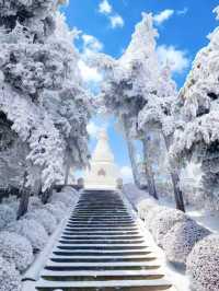 南方小夥伴12月都去廬山看雪2天1夜最全攻略!