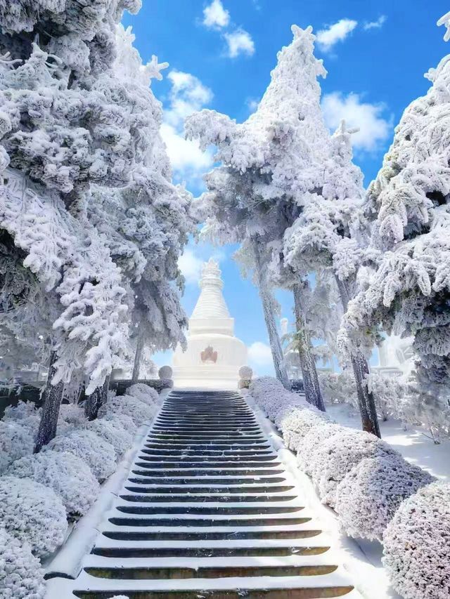 南方小夥伴12月都去廬山看雪2天1夜最全攻略! 南方小夥伴12月都去廬山看雪2天1夜最全攻略!