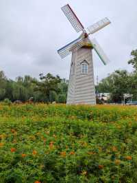 阜陽必去打卡點，夜景也超絕，阜陽人自己的花園