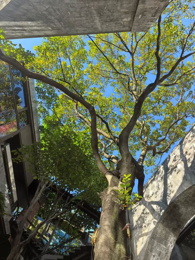 碧海藍天的叛逆玩法 碧海藍天的叛逆玩法