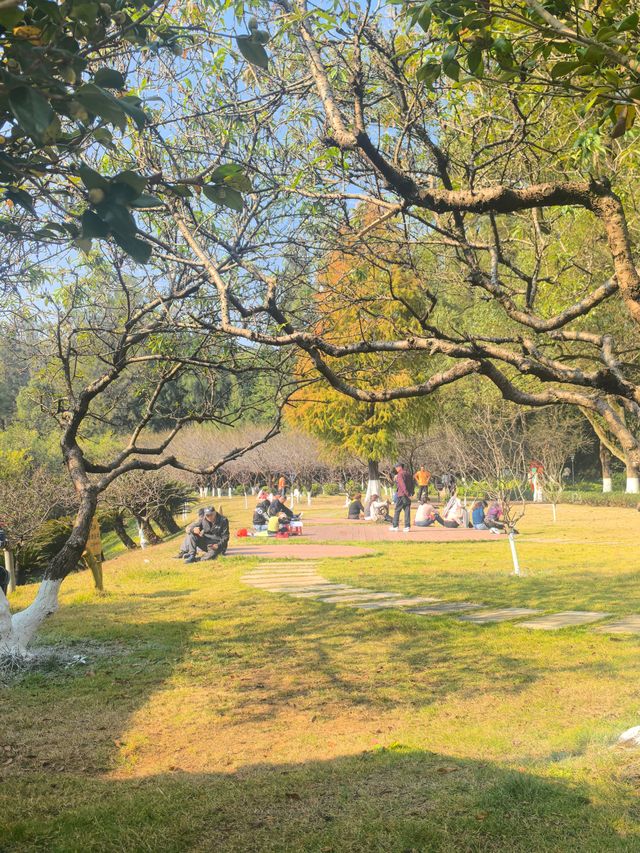 【韶關紅葉季】韶州公園漫步指南童話世界的調色盤在這裡! 【韶關紅葉季】韶州公園漫步指南童話世界的調色盤在這裡!