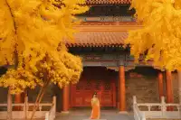 巨出片西安嚴重被低估的皇家寺院