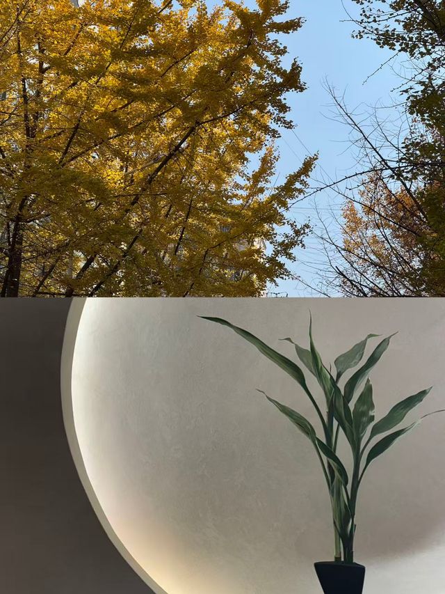 在雲南曲靖的富源縣,藏著一座小而美的古城,這裡的文旅資源雖不算豐富,卻處處透著滇東地區的獨特韻味。本 在雲南曲靖的富源縣,藏著一座小而美的古城,這裡的文旅資源雖不算豐富,卻處處透著滇東地區的獨特韻味。本