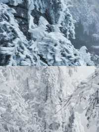 踏雪而上,赴轎子雪山的白頭之約