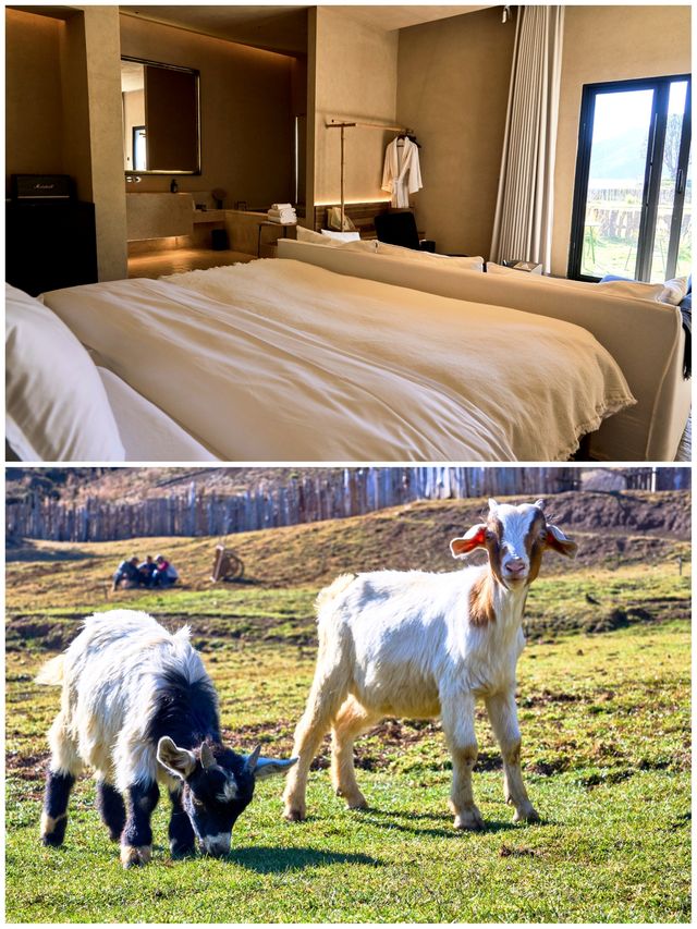 宮崎駿動畫般景致