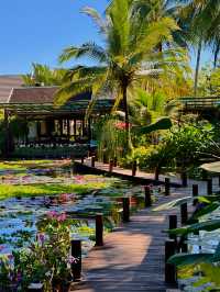 琅勃拉邦蓮花餐廳,像在油畫裡用餐