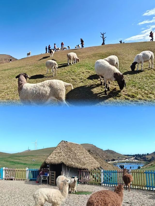 湖南 | 郴州有自己的阿勒泰仰天湖大草原 湖南 | 郴州有自己的阿勒泰仰天湖大草原