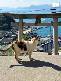 上班族四國三縣旅行｜高松-男木篇