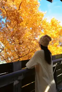 世博公園一年100次都不嫌膩（附路線