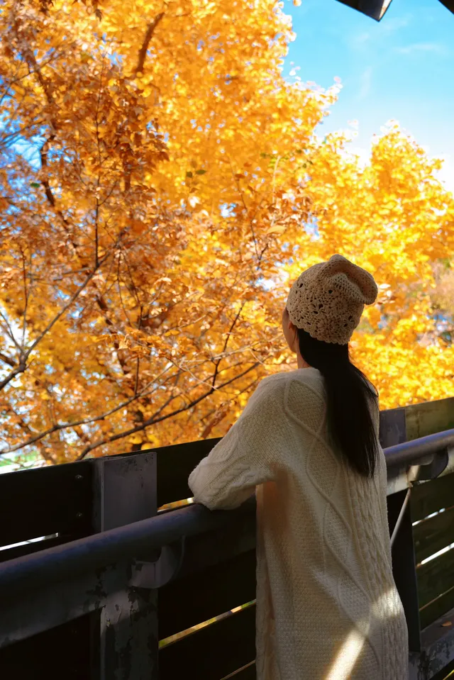 世博公園一年100次都不嫌膩（附路線