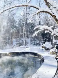 去長白山北坡選藍景一站式滑雪度假