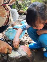 二次遊版納！一點都不累！小朋友說比迪士尼更好玩。