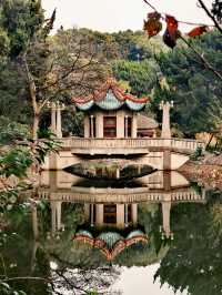 上海 | 葉家花園