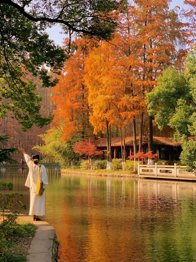 12.1武漢|現實版秋日莫內油畫~地鐵直達 12.1武漢|現實版秋日莫內油畫~地鐵直達