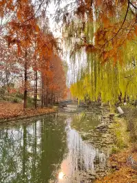 老舍：上帝把秋和冬全賜給了濟南