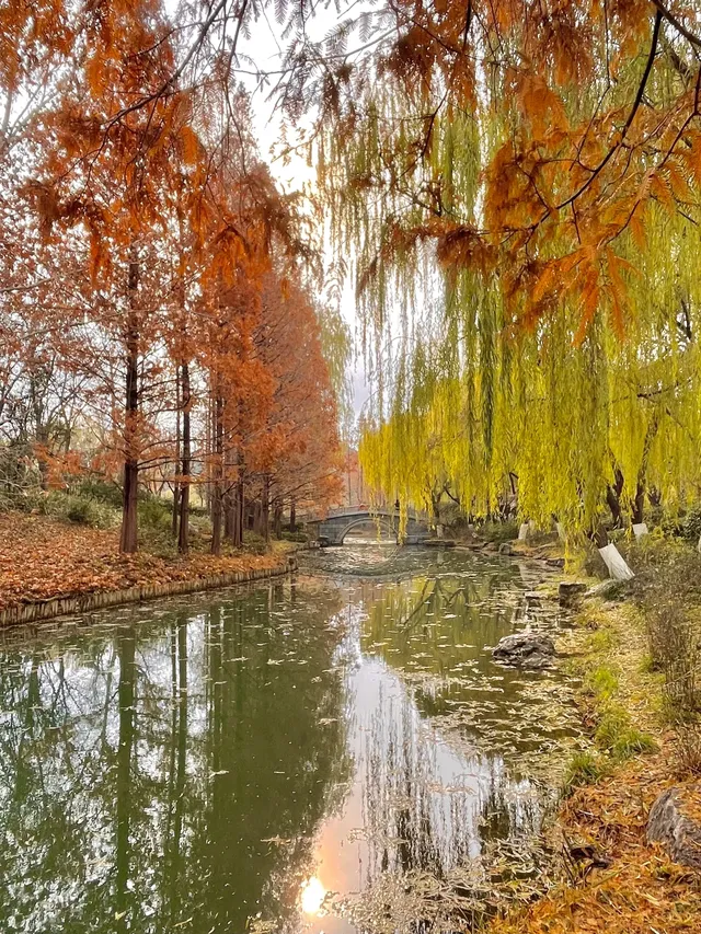 老舍：上帝把秋和冬全賜給了濟南