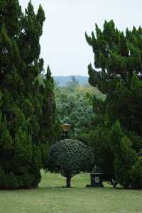 廣州!!這裡比我想像中更適合拍寫真