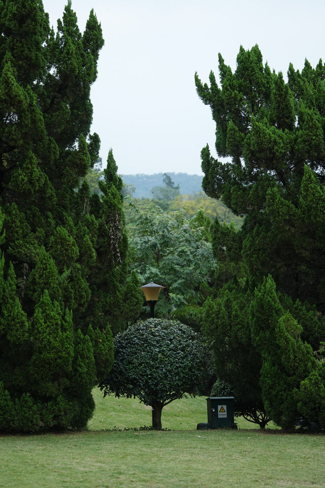 廣州!!這裡比我想像中更適合拍寫真 廣州!!這裡比我想像中更適合拍寫真