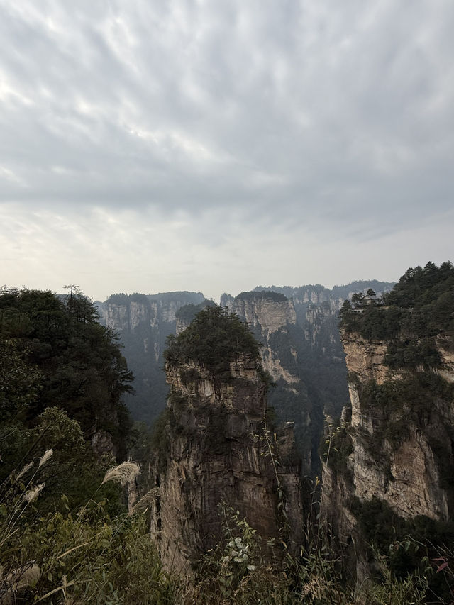 張家界 / 乾坤柱