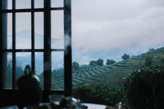 Qingshan Jun Tea House, a secluded tea-growing haven in Wuyishan – a truly healing place.