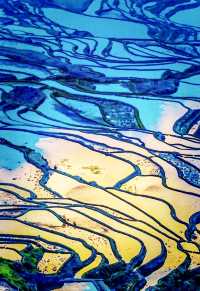 來元陽看一場地球最美的曲線吧!