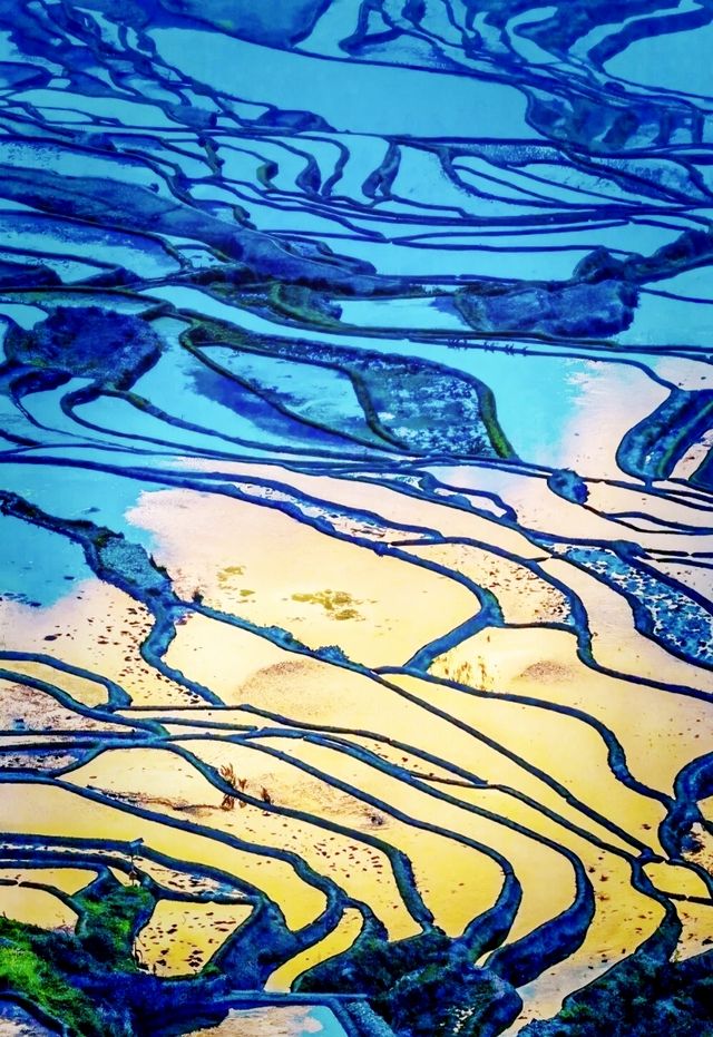 來元陽看一場地球最美的曲線吧! 來元陽看一場地球最美的曲線吧!