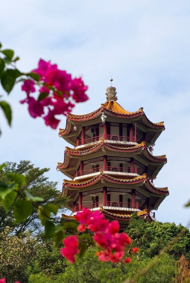 深圳仙湖植物園|遛娃寶藏地打卡賞花絕佳去處 深圳仙湖植物園|遛娃寶藏地打卡賞花絕佳去處