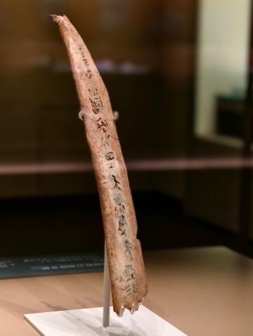たった一つの甲骨文字が世界を驚かせ、一人の女王が国の運命を決定づけ