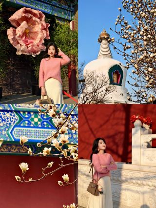 ดอกโบตั๋นและดอกแมกโนเลียที่หอคอยตะวันออกเสิ่นหยาง: การพบปะอันแสนสุขกับฤดูใบไม้ผลิ!