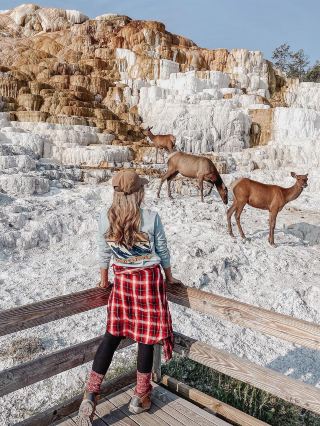 7-Day Mercedes Small Group Tour to Yellowstone + Western USA! Experience Both Cabin and Hot Springs