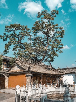 Yunnan's Hidden Gem: The 700-Year Legend of Shiping Confucian Temple, Journey Through Time to Meet the Path of the Top Scholar!